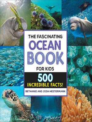 cover image of The Fascinating Ocean Book for Kids